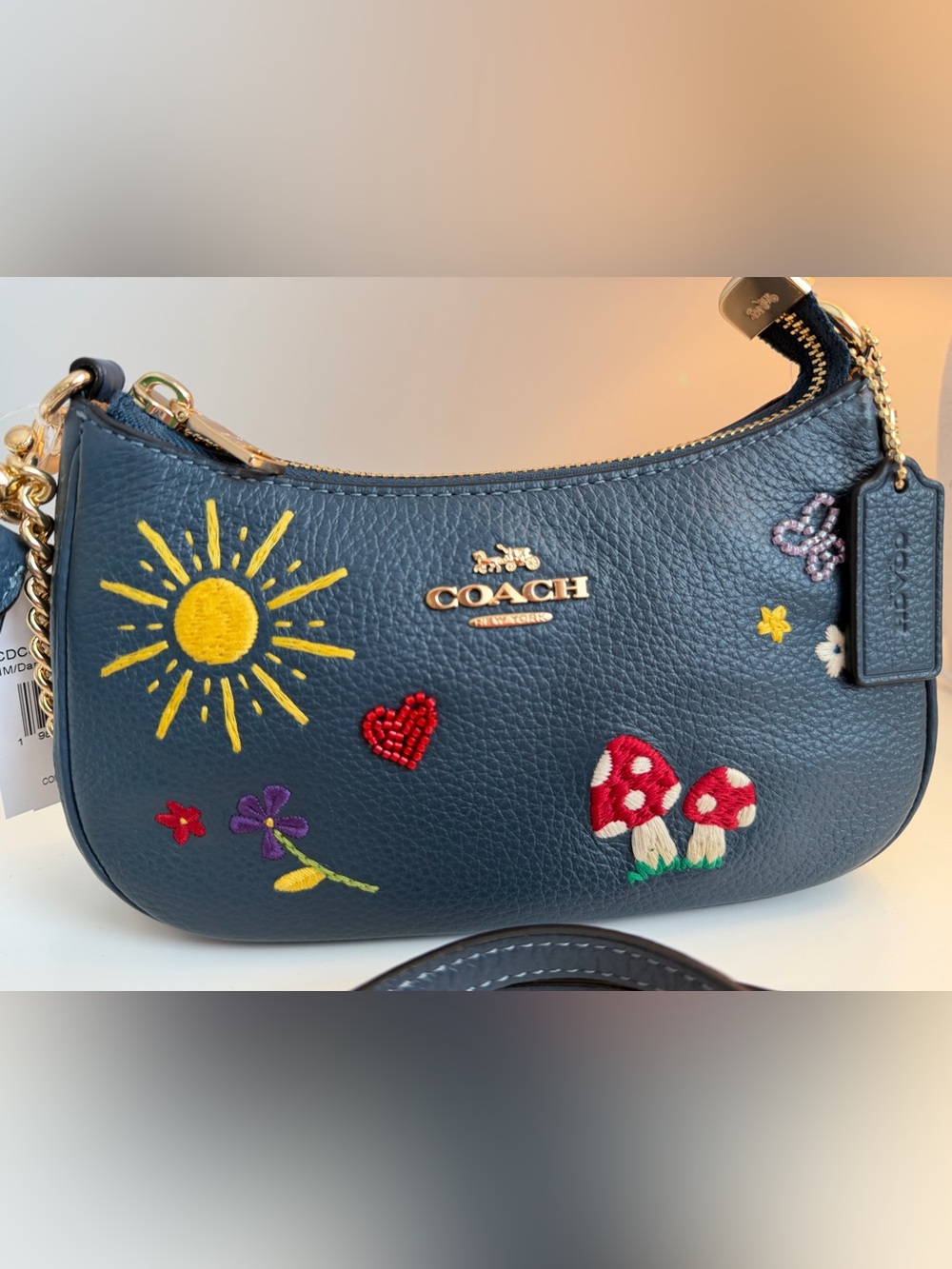 COACH Teri Mini Crossbody Bag With Embroidery - Picture 12 of 17